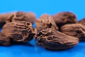TRS Black Cardamom 50g Black Cardamom