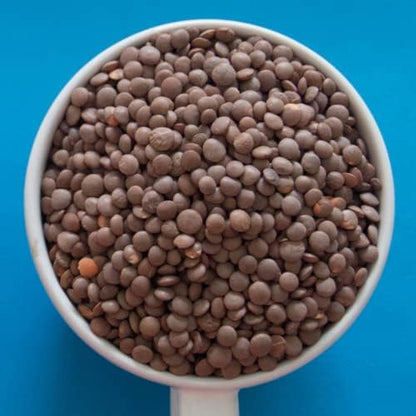 TRS Lentils Brown Whole