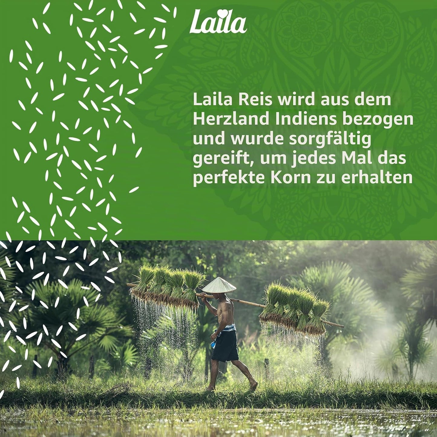 Laila Basmati Rice 20kg